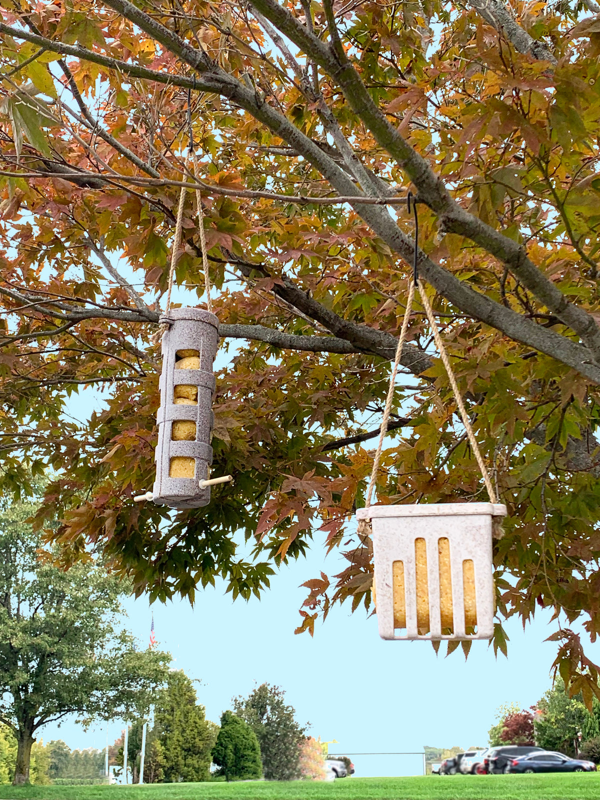 Suet Ball Feeder - Chaff