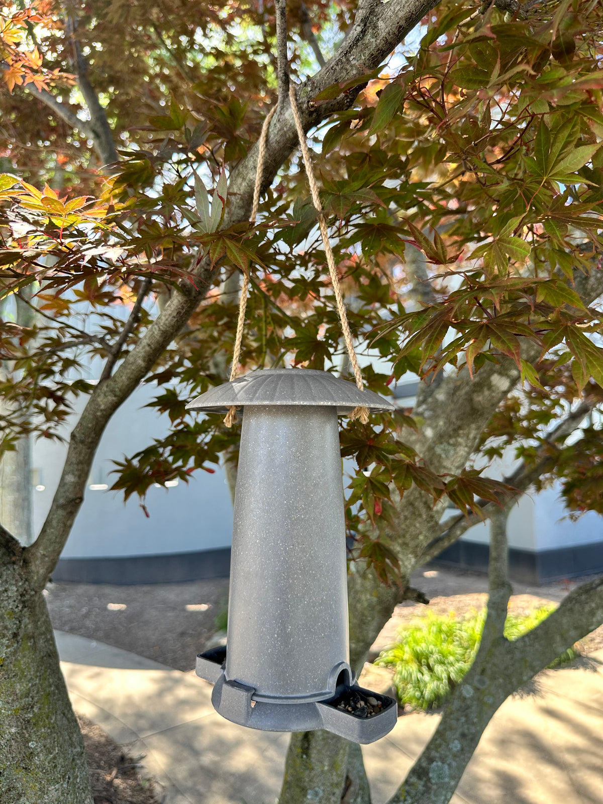 Seed Feeder - Straw