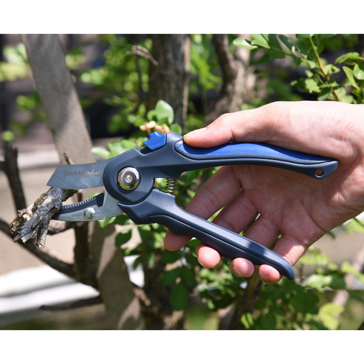 Stainless Steel Anvil Pruner with TPR Handle